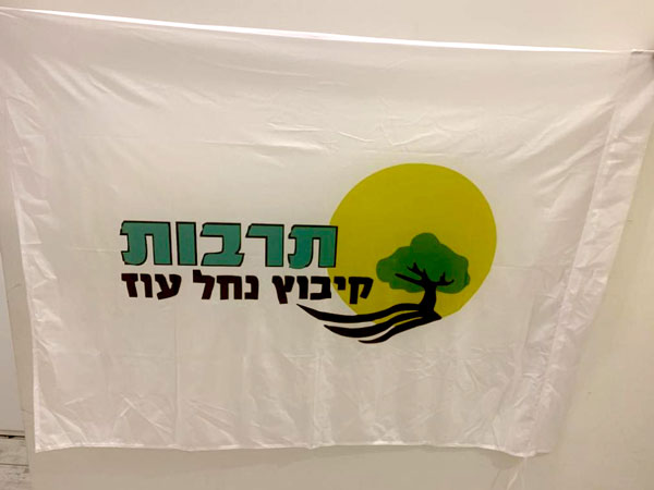 דגלי לוגו